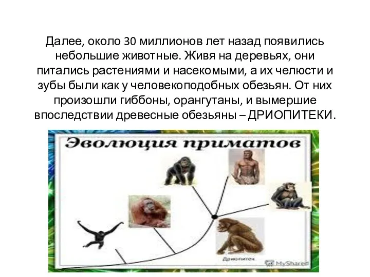 Далее, около 30 миллионов лет назад появились небольшие животные. Живя