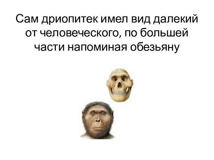 Сам дриопитек имел вид далекий от человеческого, по большей части напоминая обезьяну