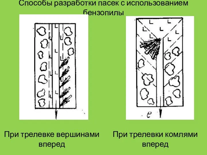 Способы разработки пасек с использованием бензопилы При трелевке вершинами вперед При трелевки комлями вперед