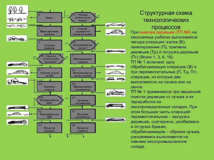 Структурная схема технологических процессов При вывозке деревьев (ТП №I) на