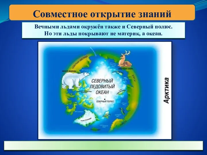 Совместное открытие знаний Вечными льдами окружён также и Северный полюс.