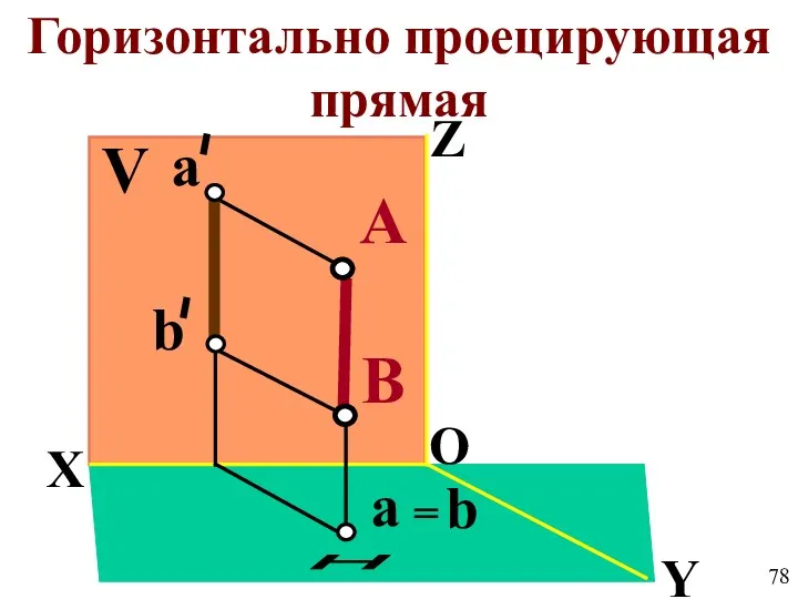 V X Z Y O H A B Горизонтально проецирующая прямая