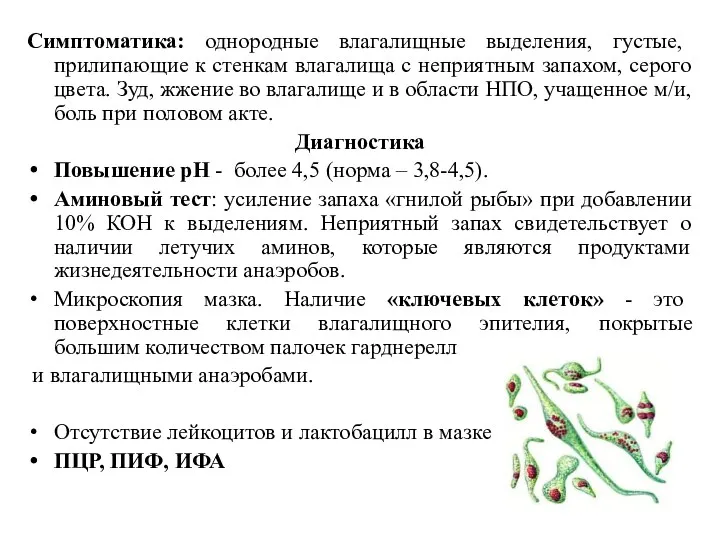 Симптоматика: однородные влагалищные выделения, густые, прилипающие к стенкам влагалища с