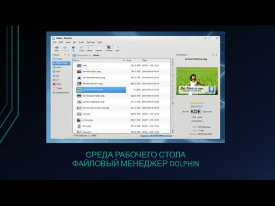 СРЕДА РАБОЧЕГО СТОЛА ФАЙЛОВЫЙ МЕНЕДЖЕР DOLPHIN