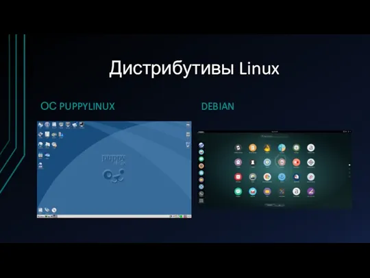 Дистрибутивы Linux ОС PUPPYLINUX DEBIAN