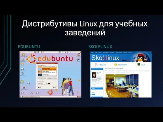 Дистрибутивы Linux для учебных заведений EDUBUNTU SKOLELINUX