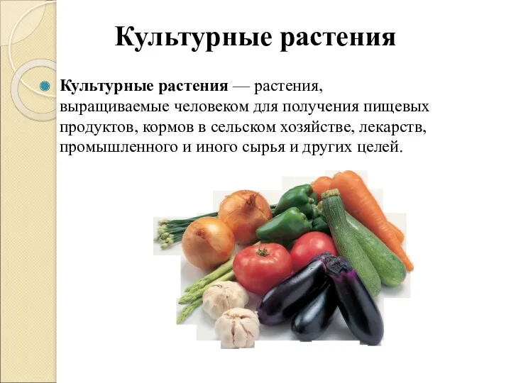 Культурные растения Культурные растения — растения, выращиваемые человеком для получения