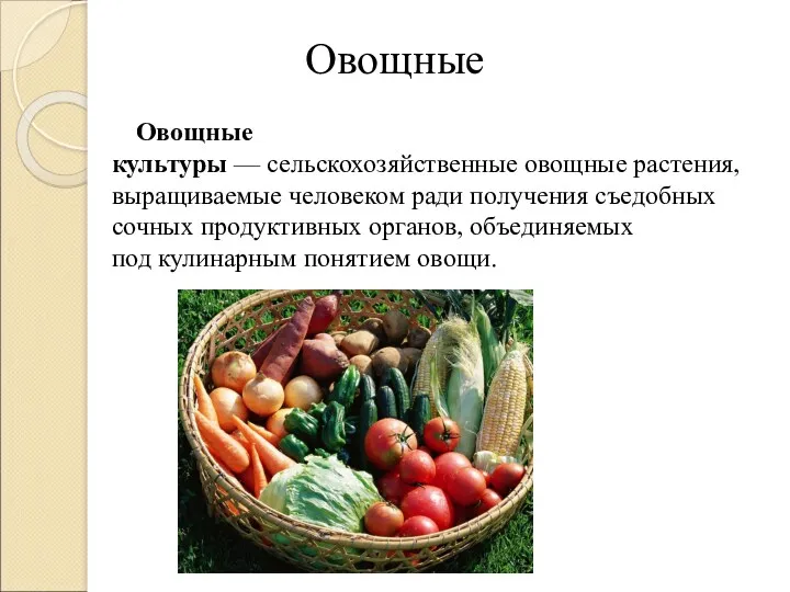 Овощные Овощные культуры — сельскохозяйственные овощные растения, выращиваемые человеком ради