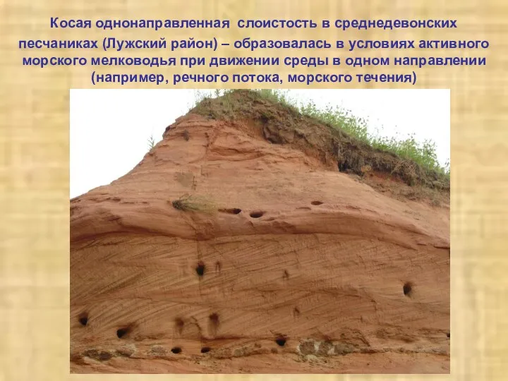 Косая однонаправленная слоистость в среднедевонских песчаниках (Лужский район) – образовалась