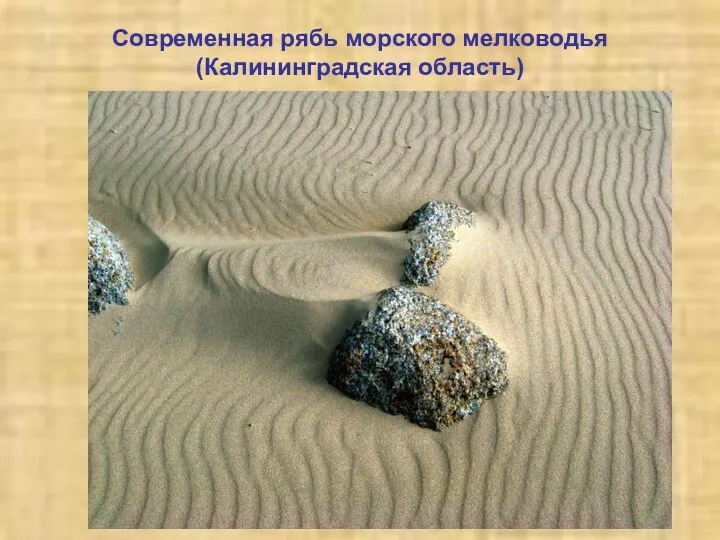 Современная рябь морского мелководья (Калининградская область)