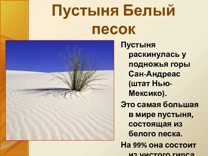 Пустыня раскинулась у подножья горы Сан-Андреас (штат Нью-Мексико). Это самая