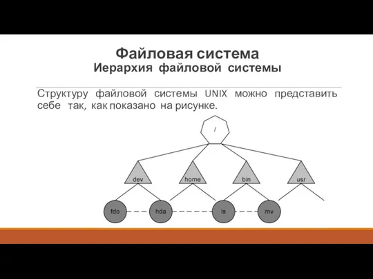 Структуру файловой системы UNIX можно представить себе так, как показано