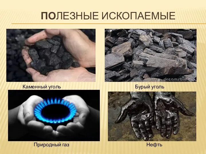 ПОЛЕЗНЫЕ ИСКОПАЕМЫЕ Нефть Бурый уголь Природный газ Каменный уголь