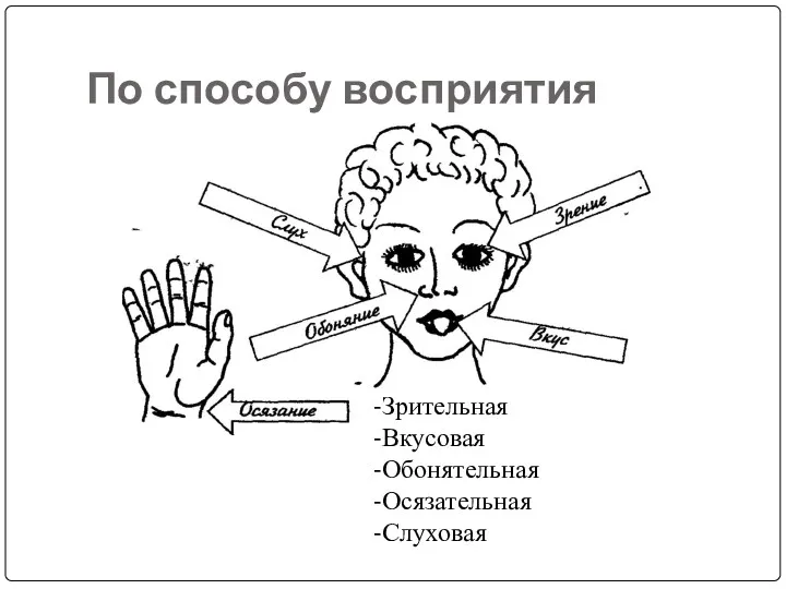 По способу восприятия Зрительная Вкусовая Обонятельная Осязательная Слуховая