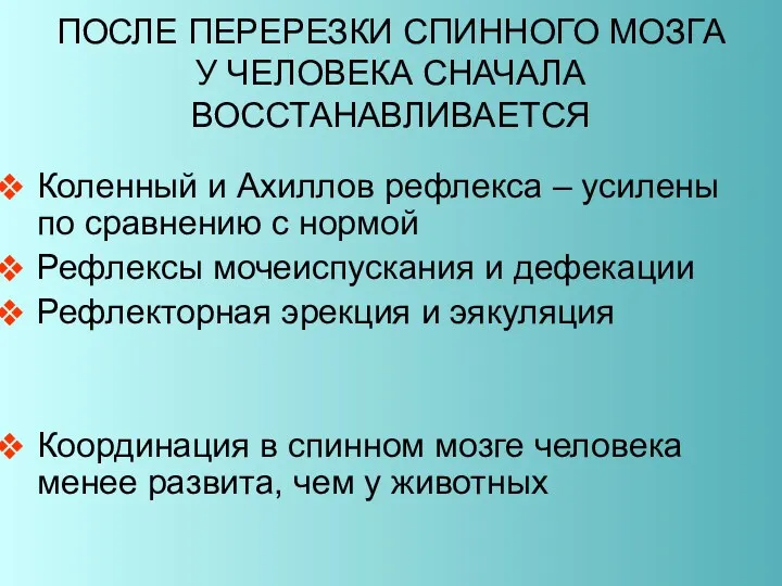 ПОСЛЕ ПЕРЕРЕЗКИ СПИННОГО МОЗГА У ЧЕЛОВЕКА СНАЧАЛА ВОССТАНАВЛИВАЕТСЯ Коленный и