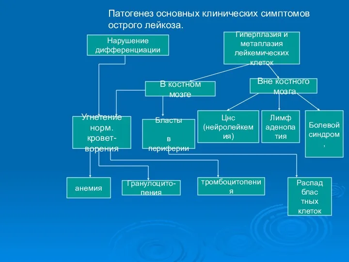 Патогенез основных клинических симптомов острого лейкоза. Нарушение дифференциации Гиперплазия и