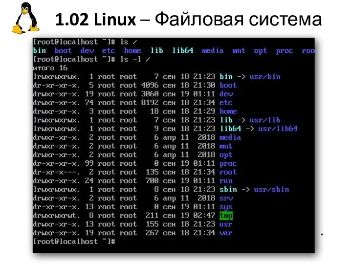 1.02 Linux – Файловая система