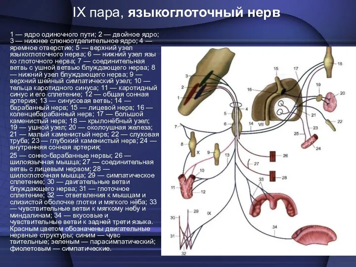 1 — ядро одиночного пути; 2 — двойное ядро; 3