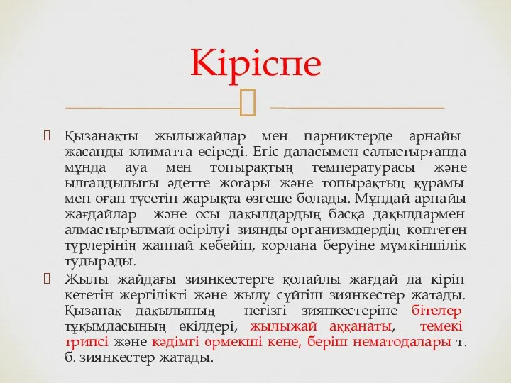 Қызанақты жылыжайлар мен парниктерде арнайы жасанды климатта өсіреді. Егіс даласымен