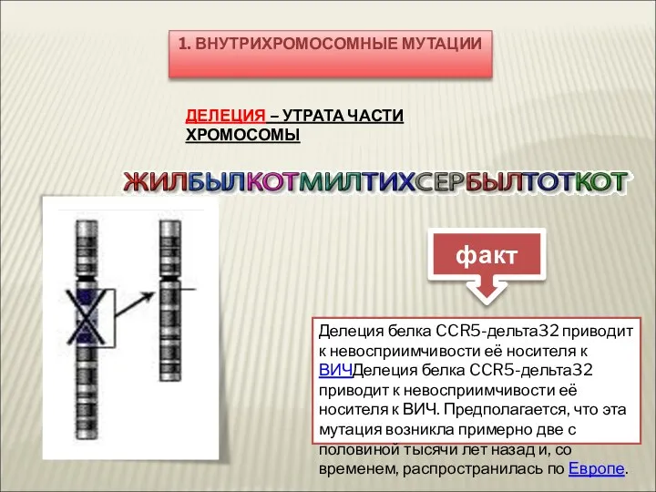 1. ВНУТРИХРОМОСОМНЫЕ МУТАЦИИ ДЕЛЕЦИЯ – УТРАТА ЧАСТИ ХРОМОСОМЫ Делеция белка