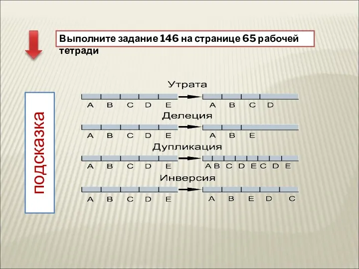 Выполните задание 146 на странице 65 рабочей тетради подсказка