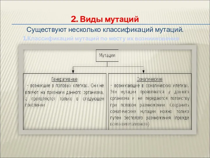 2. Виды мутаций Существуют несколько классификаций мутаций. 1.Классификаций мутаций по месту их возникновения