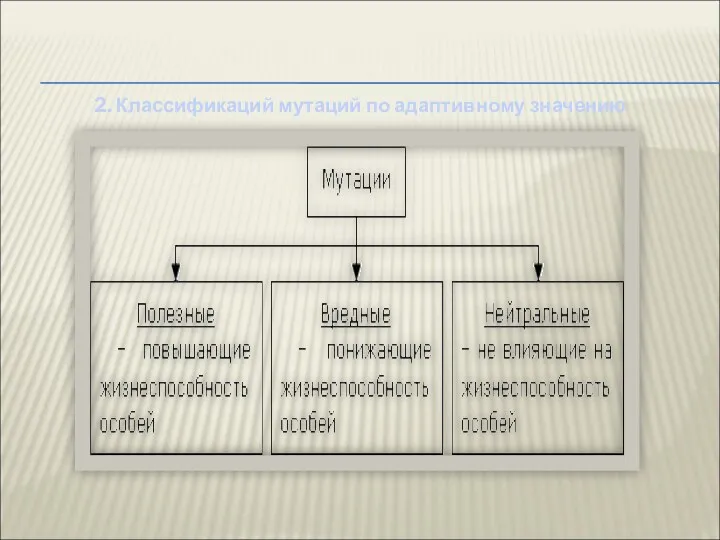 2. Классификаций мутаций по адаптивному значению