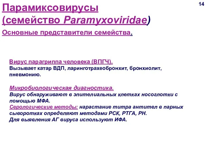 14 Основные представители семейства. Парамиксовирусы (семейство Paramyxoviridae) Вирус парагриппа человека