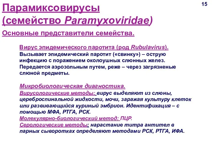 15 Основные представители семейства. Парамиксовирусы (семейство Paramyxoviridae) Вирус эпидемического паротита