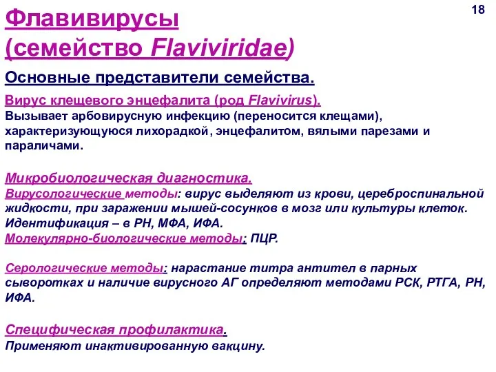 18 Основные представители семейства. Флавивирусы (семейство Flaviviridae) Вирус клещевого энцефалита