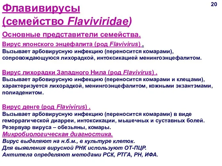 20 Основные представители семейства. Флавивирусы (семейство Flaviviridae) Вирус японского энцефалита