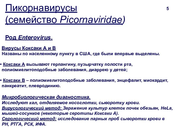 Пикорнавирусы (семейство Picornaviridae) 5 Вирусы Коксаки А и В Названы