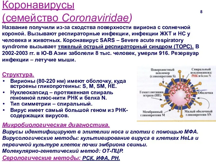 Коронавирусы (семейство Coronaviridae) Название получили из-за сходства поверхности вириона с