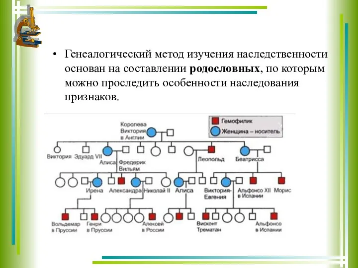 Генеалогический метод изучения наследственности основан на составлении родословных, по которым можно проследить особенности наследования признаков.