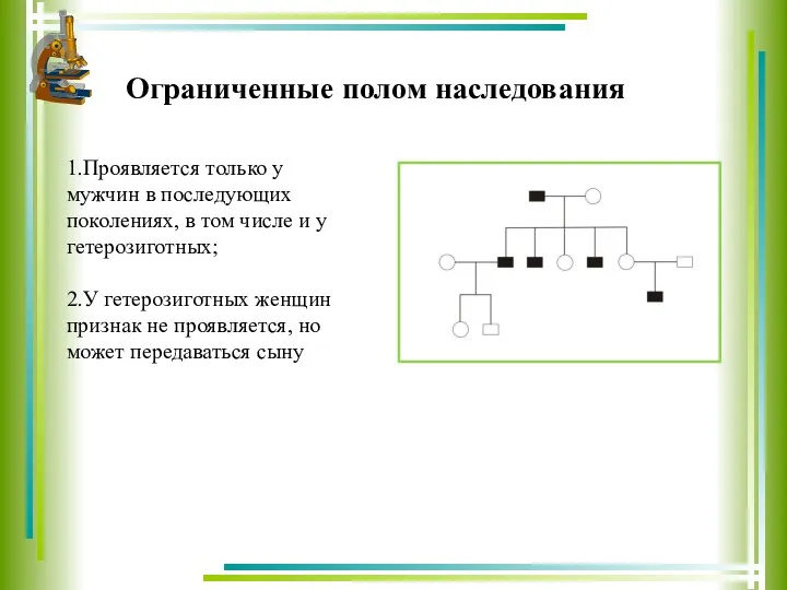 Ограниченные полом наследования 1.Проявляется только у мужчин в последующих поколениях,