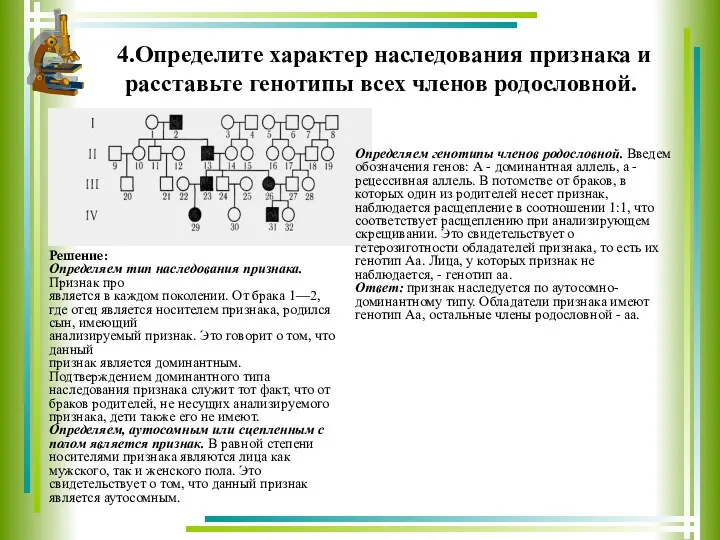 4.Определите характер наследования признака и расставьте генотипы всех членов родословной.