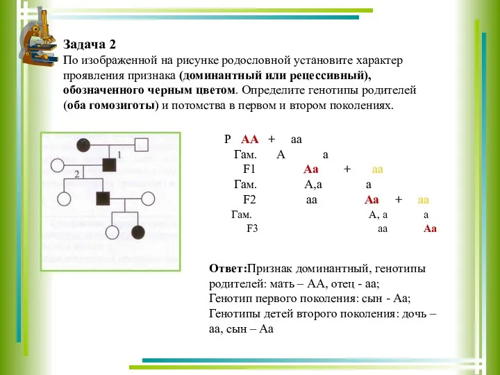 Задача 2 По изображенной на рисунке родословной установите характер проявления