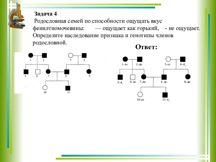 Задача 4 Родословная семей по способности ощущать вкус фенилтиомочевины: —