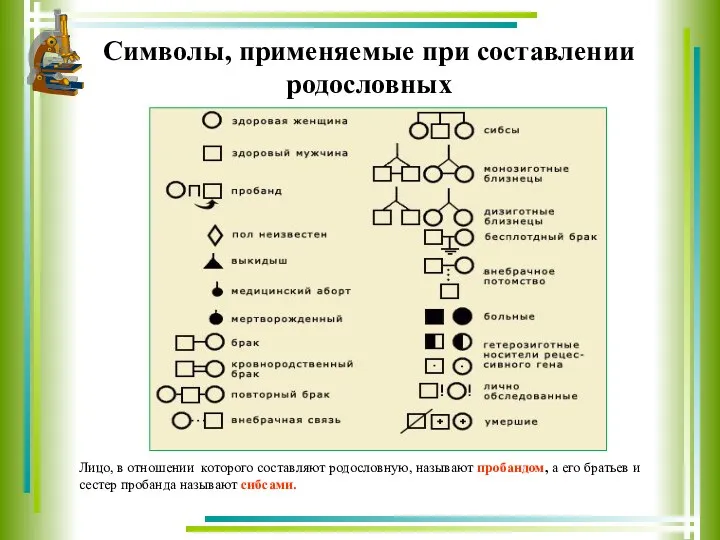 Символы, применяемые при составлении родословных Лицо, в отношении которого составляют