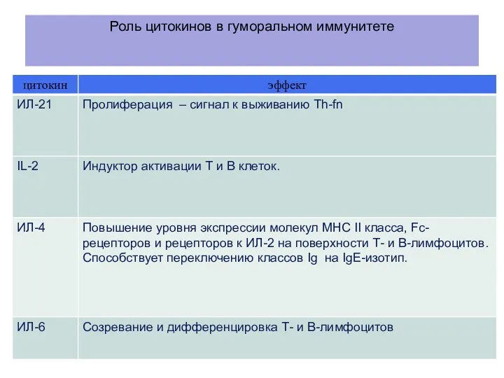 Роль цитокинов в гуморальном иммунитете