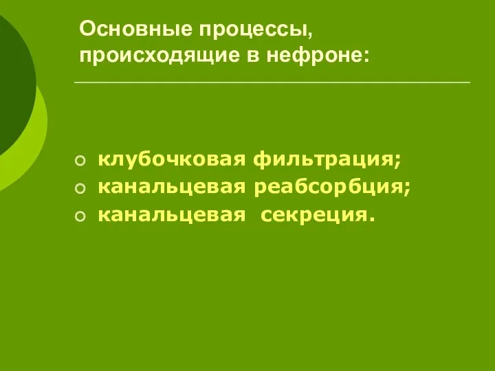 Основные процессы, происходящие в нефроне: клубочковая фильтрация; канальцевая реабсорбция; канальцевая секреция.