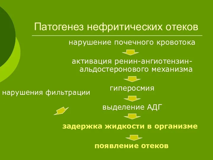 Патогенез нефритических отеков нарушение почечного кровотока активация ренин-ангиотензин-альдостеронового механизма гиперосмия