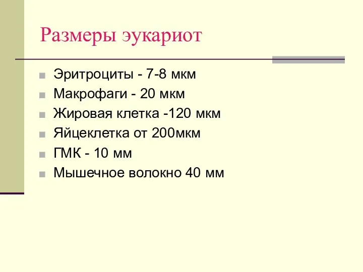 Размеры эукариот Эритроциты - 7-8 мкм Макрофаги - 20 мкм