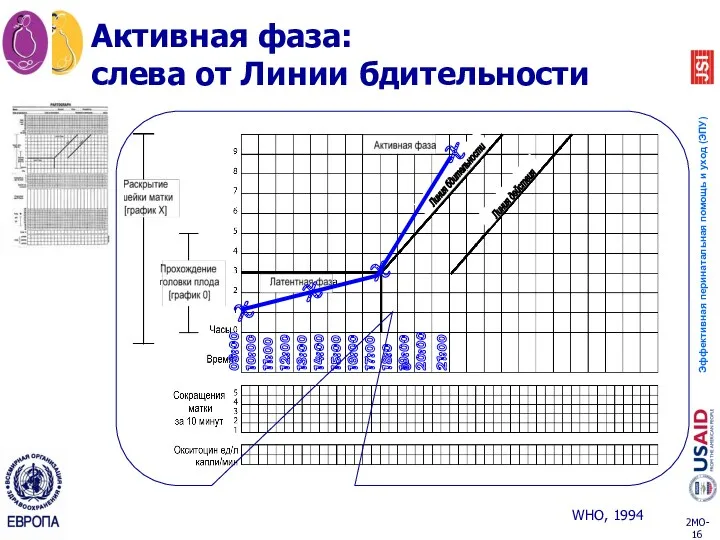 Активная фаза: слева от Линии бдительности 09:00 10:00 11:00 12:00