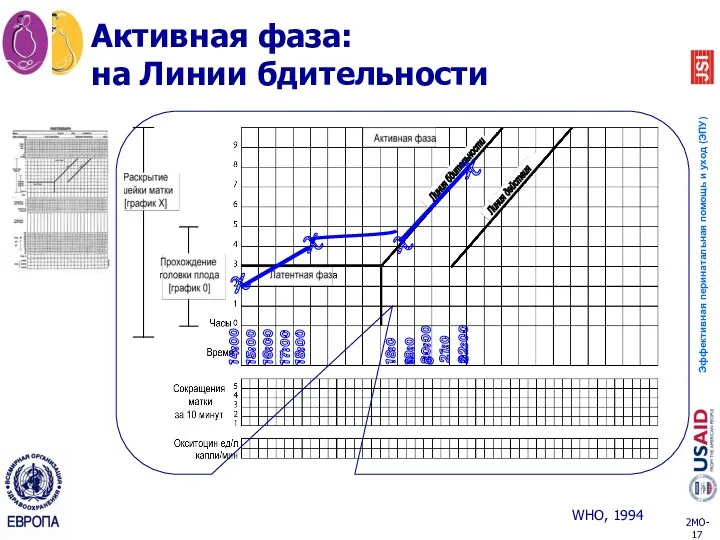 Активная фаза: на Линии бдительности 14:00 15:00 16:00 17:00 18:00 X X X