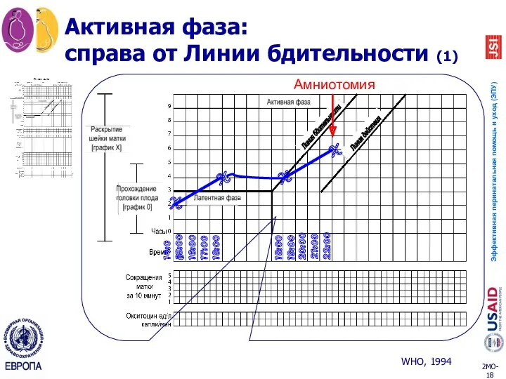 Активная фаза: справа от Линии бдительности (1) X 14:00 X X X 15:00