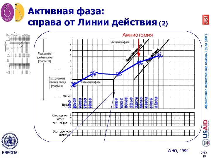 Активная фаза: справа от Линии действия (2) X 14:00 X X X 15:00