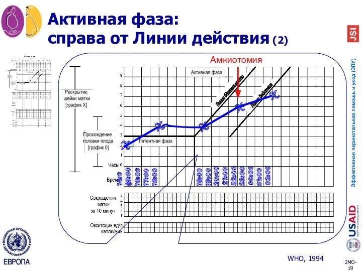 Активная фаза: справа от Линии действия (2) X 14:00 X