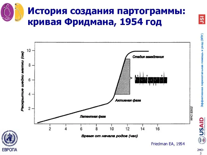 История создания партограммы: кривая Фридмана, 1954 год Стадия максимальной скорости раскрытия шейки матки