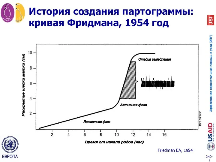 История создания партограммы: кривая Фридмана, 1954 год Стадия максимальной скорости